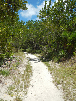South Shore Park Trail Bermuda