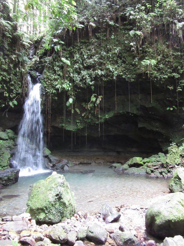 Picture Dominica Emerald Pool