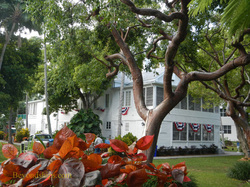 Key West Little White House