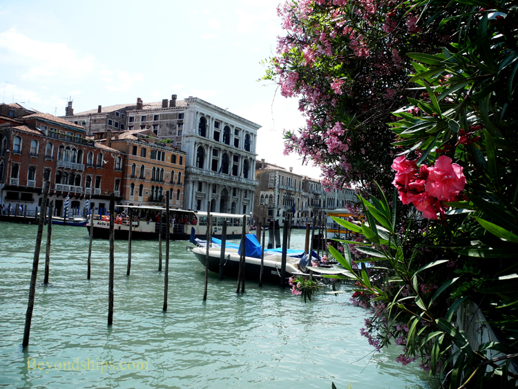 Picture cruise destination Venice Italy Grand Canal