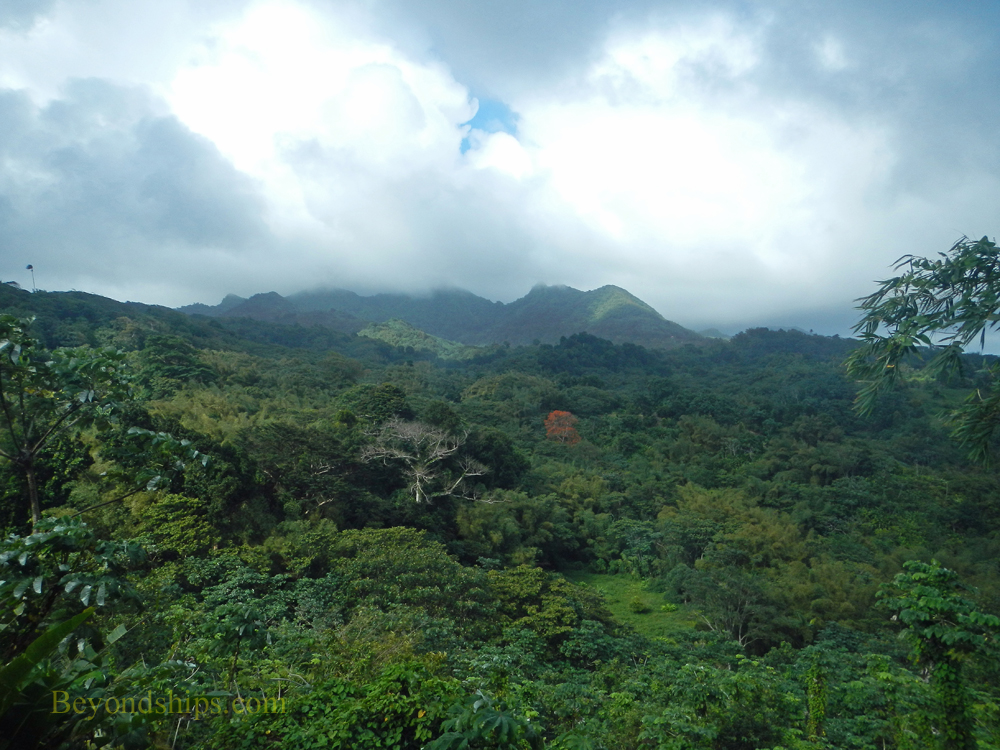 Grenada rain forest
