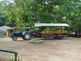 Jitney wagon, Prospect Plantation, Ocho Rios, Jamaica 
