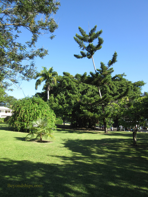 Picture Dominica Botanical Garden