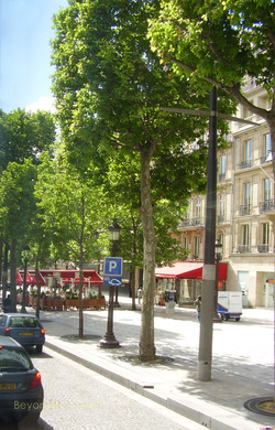Champs Elyees, Paris, France