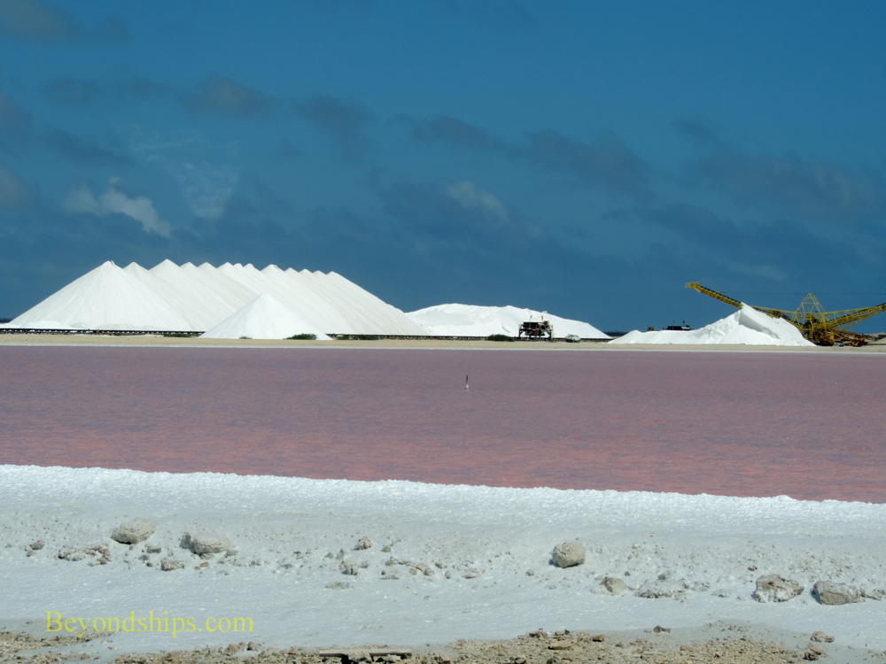 Salt mounds and pink pond, Bonaire