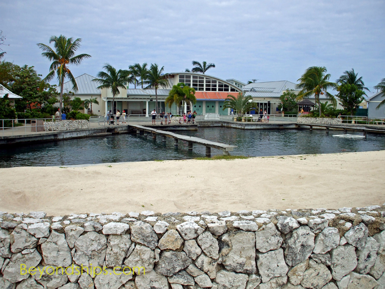 Cayman Islands Turtle Farm, Grand Cayman