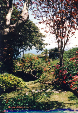 Andromeda Botanic Garden, Barbados
