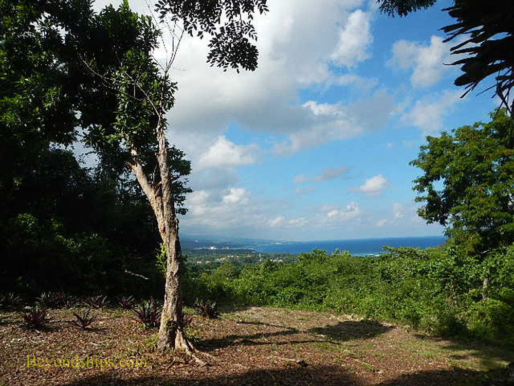 Prospect Plantation, Ocho Rios, Jamaica