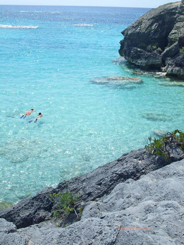 Snorkeling in Bermuda 