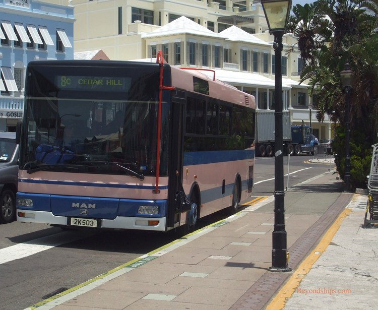 Bermuda bus