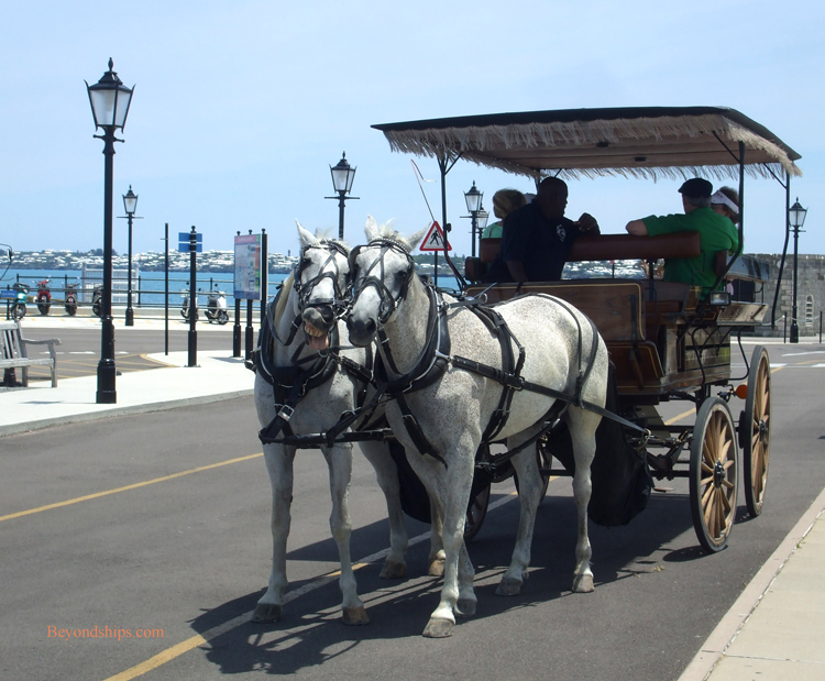 Horses and carriage in Bermuda