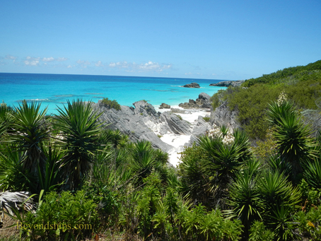 South Shore Bermuda
