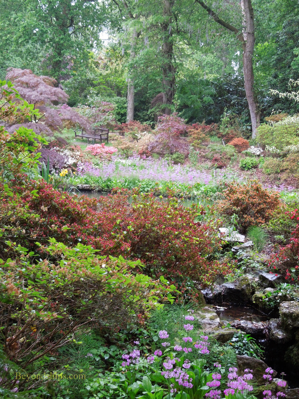 Picture  New Forest, England, Exbury Gardens