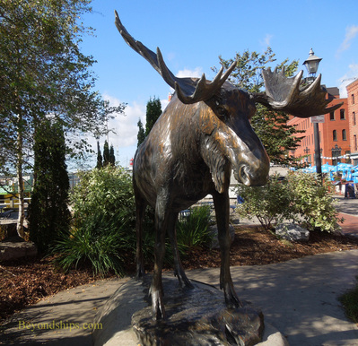 Moose statue St. John New Brunswick