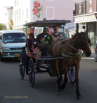 Horse and carriage Nassau, The Bahamas