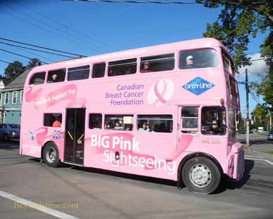 Picture Big P[nk bus, Charlottetown