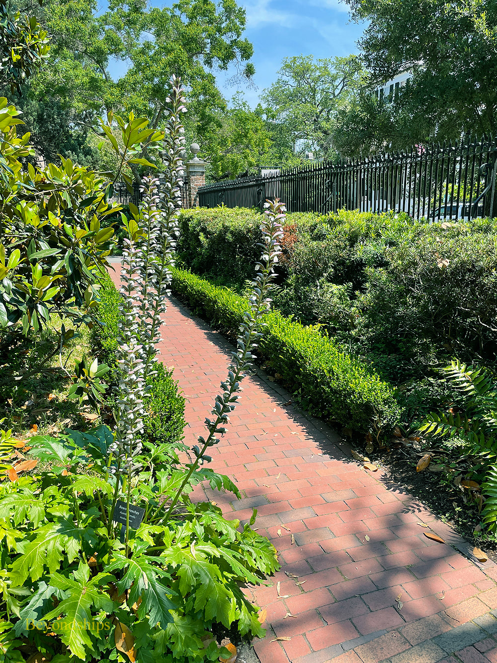 Garden Nathaniel Russell House Charleston