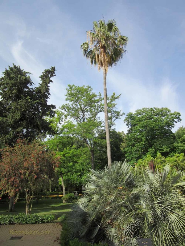 Botanical Garden, Royal Andalusian School of Equestrian Arts, Spain