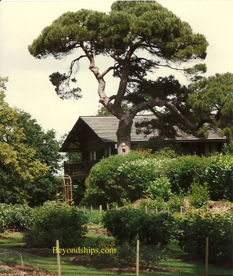 Osbourne House Swiss Cottage